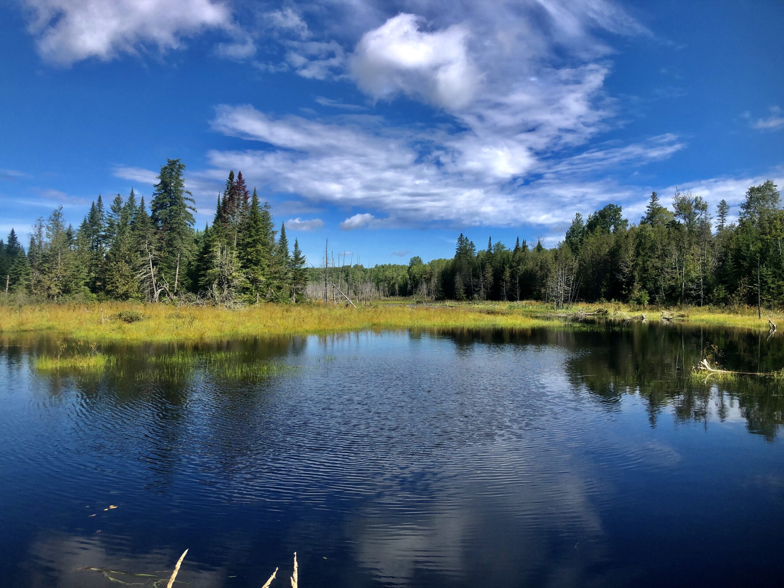 Northern Maine landscape near the Northern Terminus of Interstate 95 in Houlton Maine